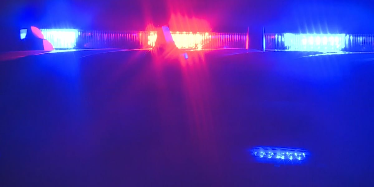 32 gambling machines found in Alabama business raid