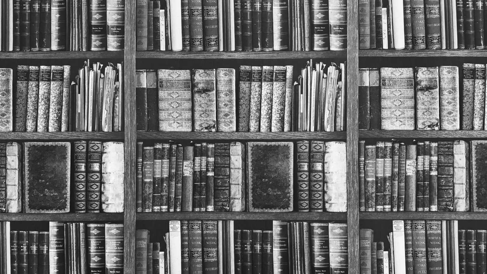 5 Leadership Skills That Business Schools Don’t Teach