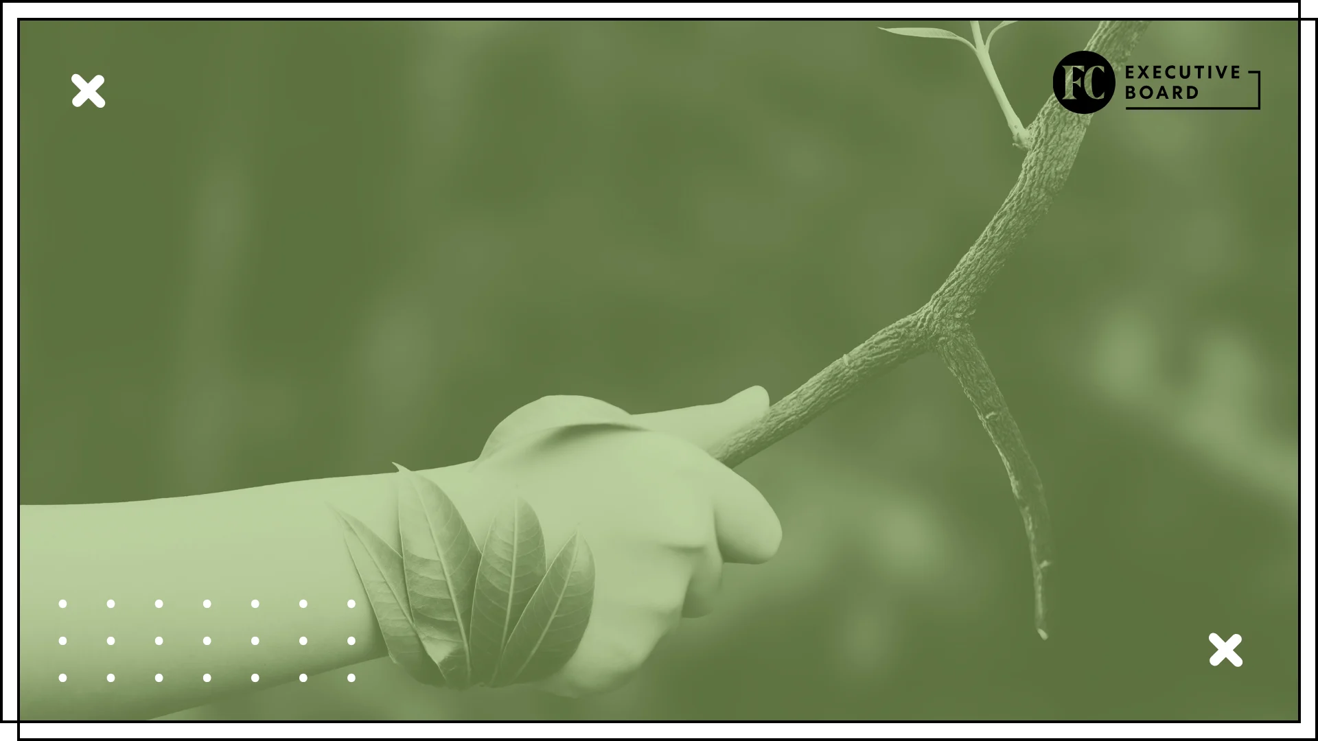 Business lessons in resilience from nature