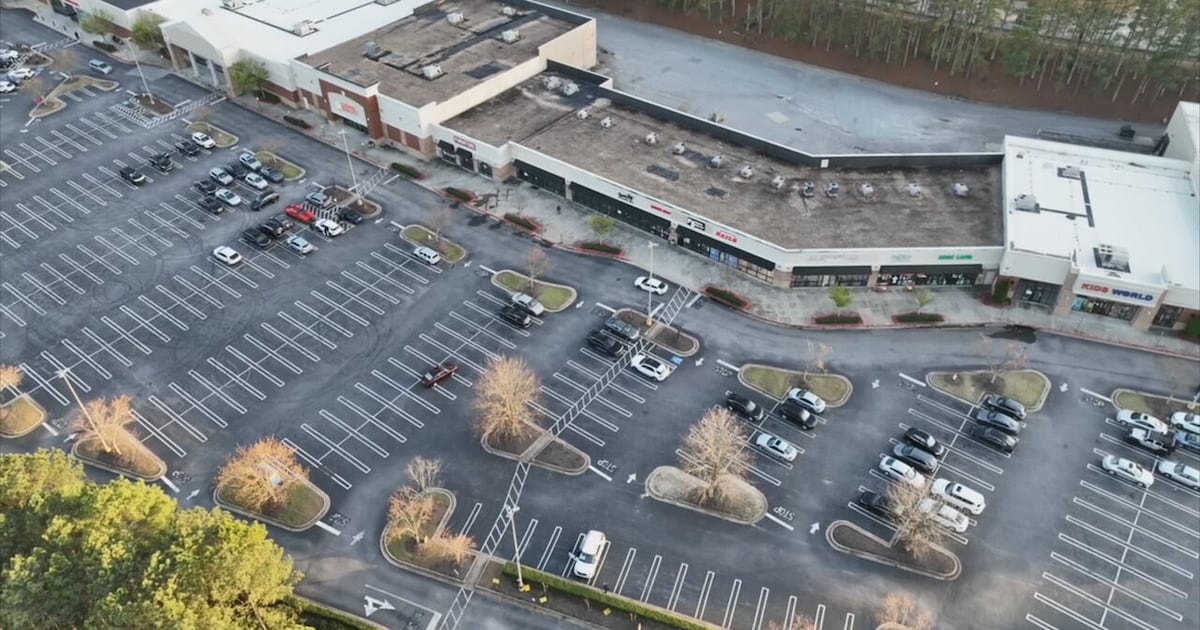 Business owners say low foot traffic hurting Stonecrest shopping center – WSB-TV Channel 2