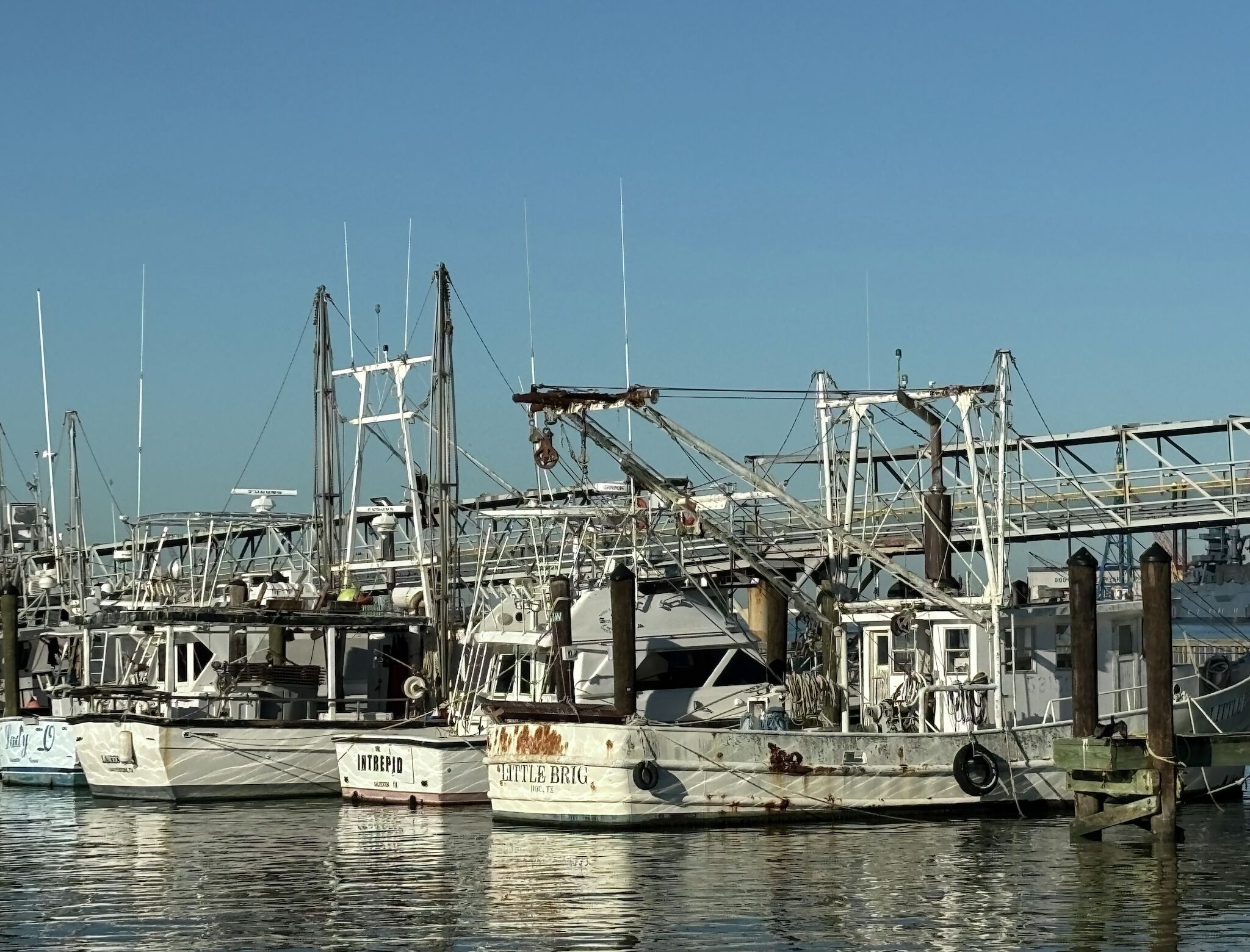 Businesses question Galveston's Pier 19 waterfront remake