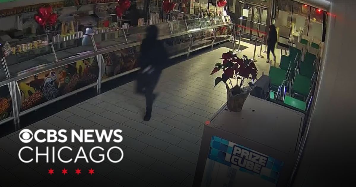 CPD warn about string of South, SW side business burglaries