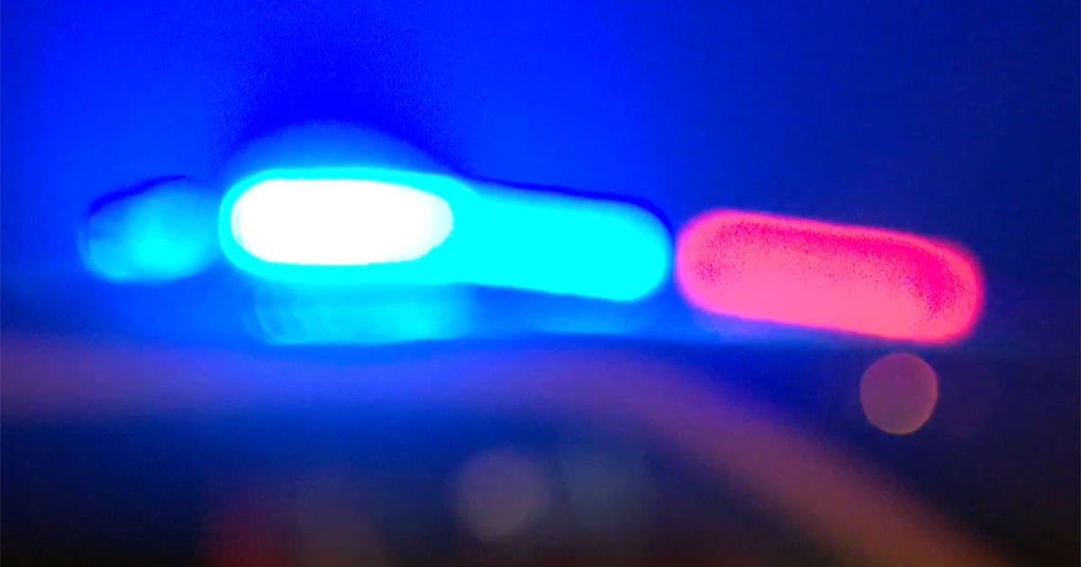 Chicago businesses hit in early-morning burglary spree across South Side: police