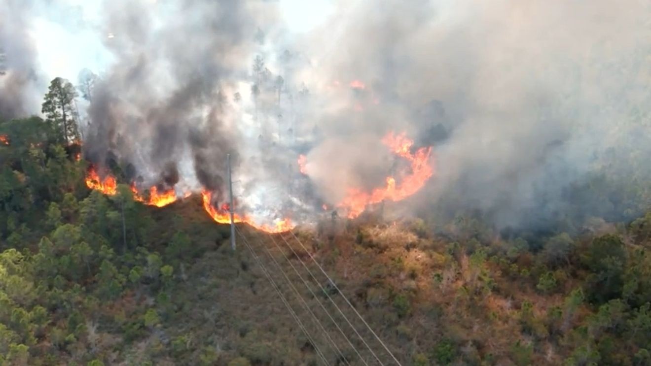 Gulf State Park brush fire in Baldwin County causes road closures, business evacuations