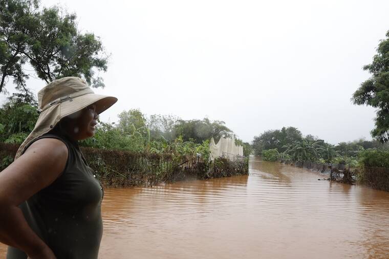 Hawaii launches emergency relief program for farmers, businesses