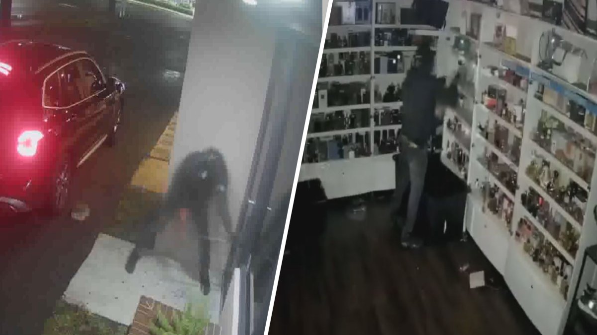 Hollywood business owner says thieves targeted perfume store again – NBC 6 South Florida