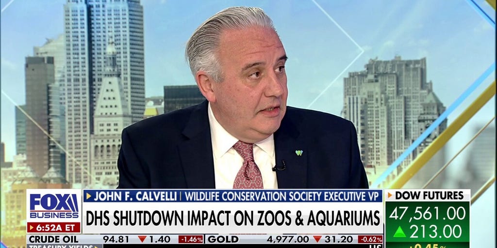 Issue of wildlife trafficking a $20B a year business, Wildlife Conservation Society EVP says