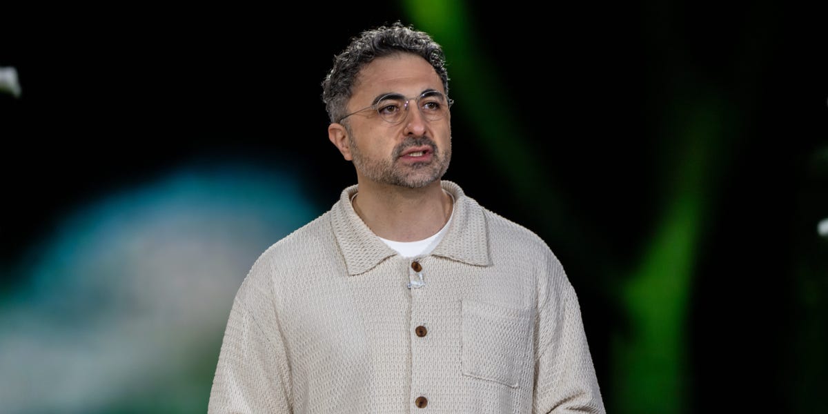 Microsoft Hires Ali Farhadi to Work With Mustafa Suleyman on AI