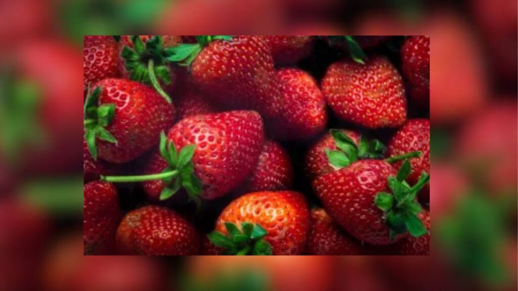 Prioritize a healthy lifestyle during National Nutrition Month