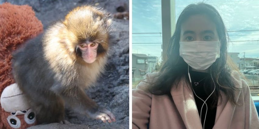 She Visited Punch, the Viral Baby Monkey, in a Japanese Zoo