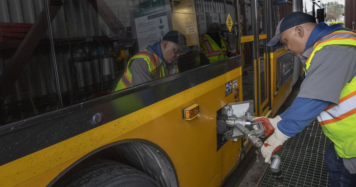Spiking diesel prices force WA businesses to make tough choices