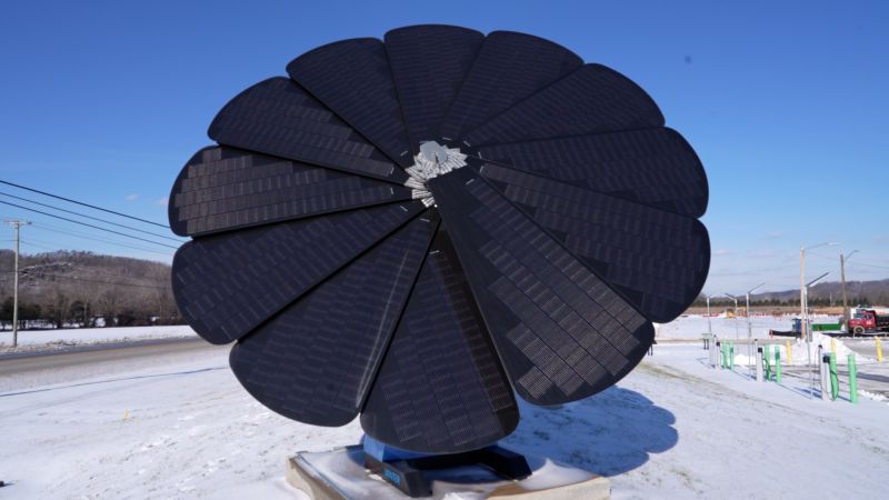 This solar panel blooms every morning
