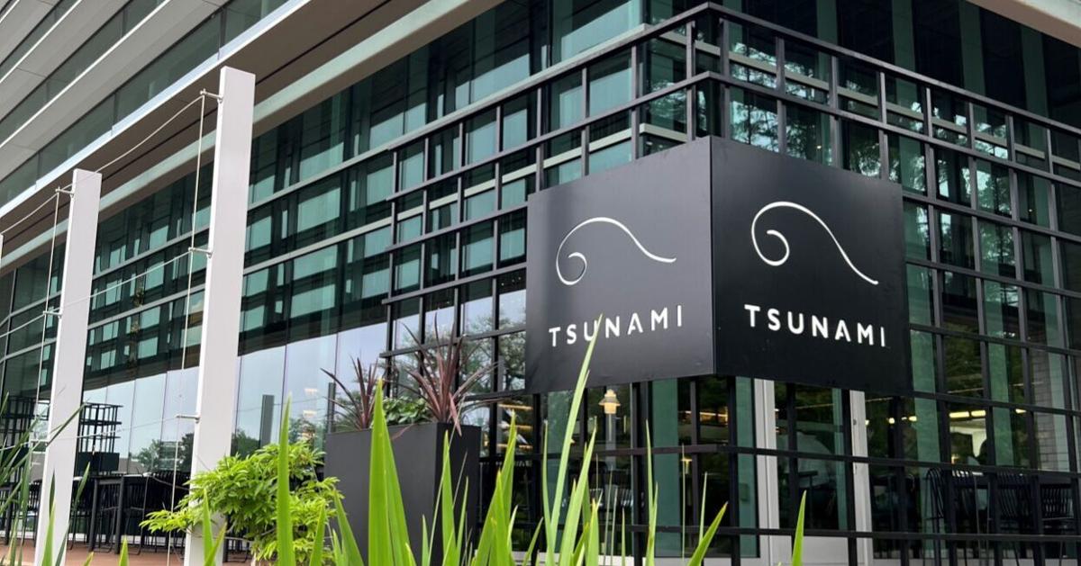 Tsunami owners file for bankruptcy, plege to stay open | Business News