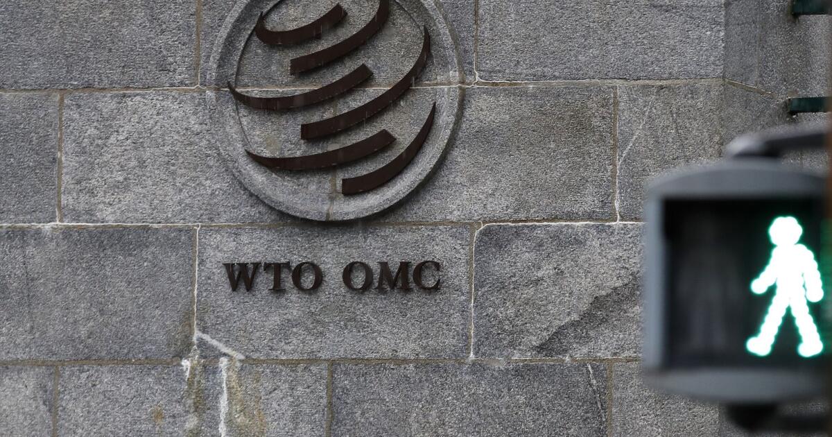 U.S. pushes WTO to make the e-commerce tariff moratorium permanent