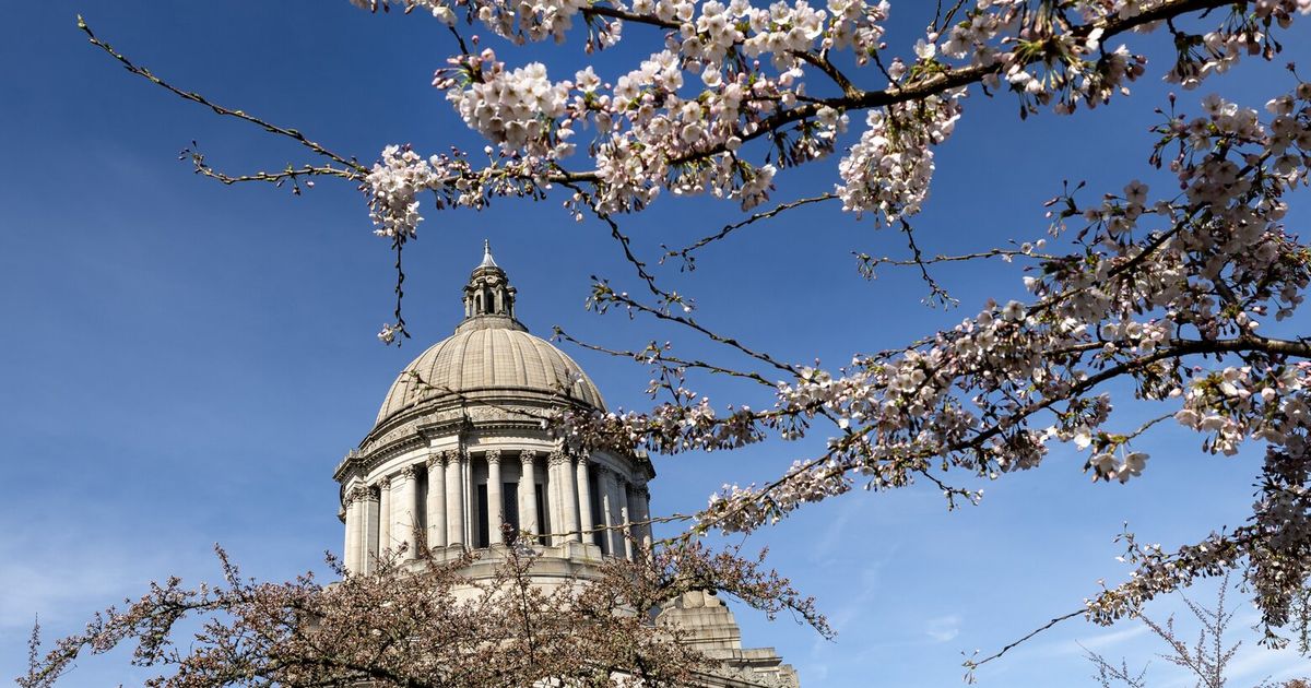 WA’s small businesses, startups weigh impacts of proposed income tax