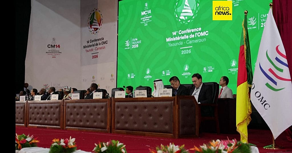 WTO talks in Yaounde end in deadlock over e-commerce customs duties
