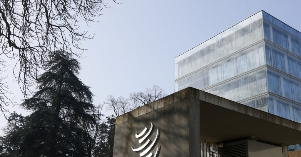 What is the World Trade Organization e-commerce moratorium that stops tariffs on digital downloads and streaming?