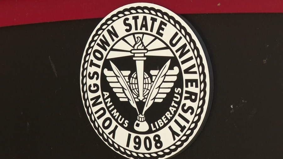 YSU veteran to head business college