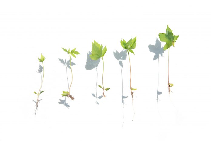 The rapid expansion of AI-driven actuarial platforms is forcing InsurTech firms to rethink how they operate internally. As companies scale across markets, adding customers, products and teams in different geographies, operational complexity increases quickly. Data visibility, coordination between offices and the integration of new technologies all become critical factors in maintaining momentum.