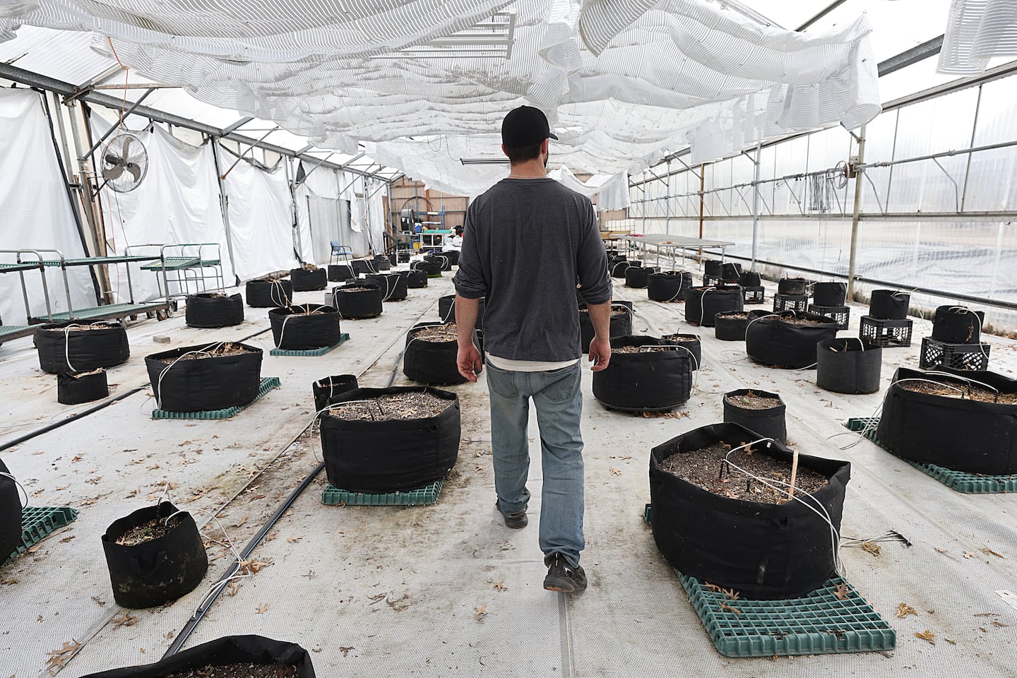 Hemp businesses in Mass. unclear on future as federal ban looms