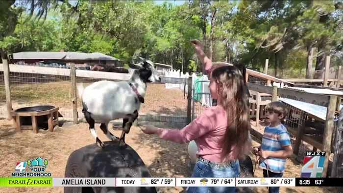 A Clay County family turns homesteading into a business