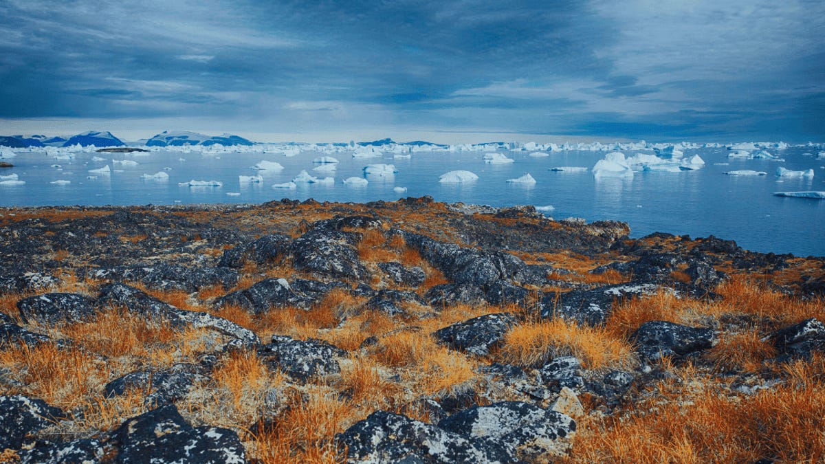 Why Critical Minerals Have Become a Business Risk Story, Not Just a Mining Story